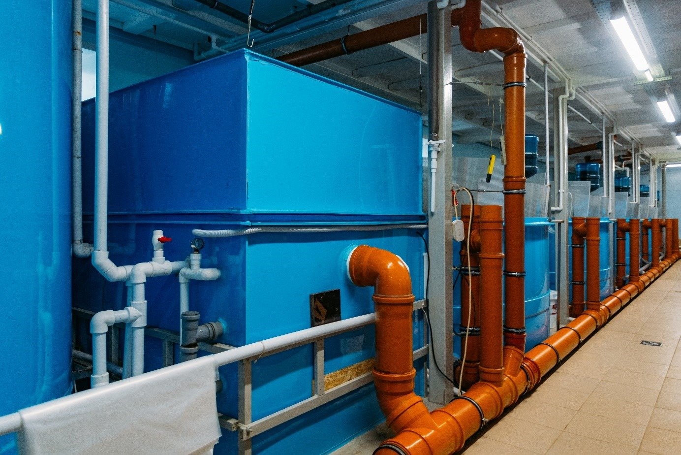 Čistička odpadních vod